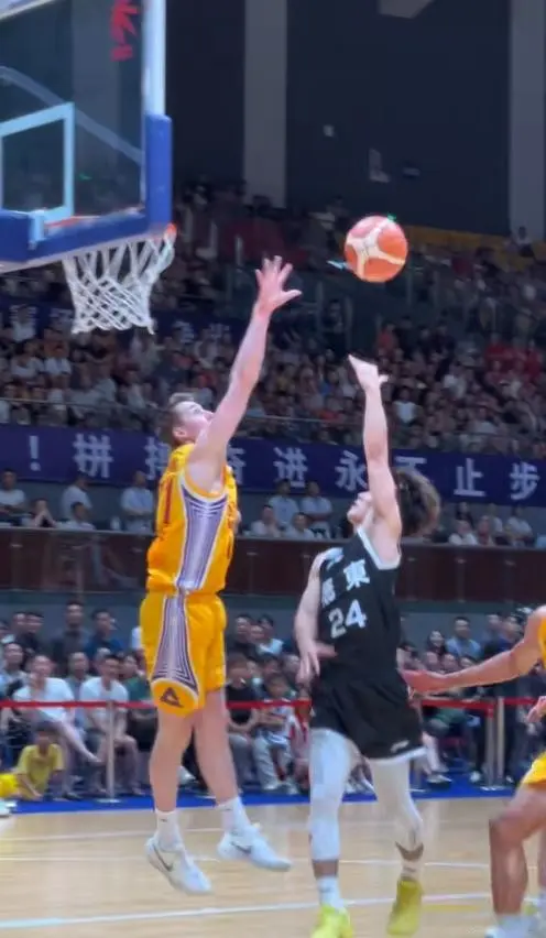 alt, https alt, https